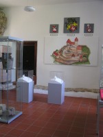 /album/fotogalerie-statni-hrad-landstejn/archeologicka-expozice33-jpg/